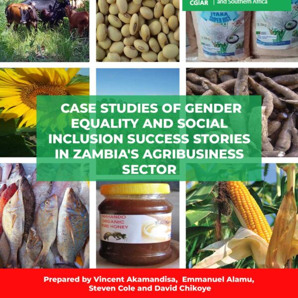 GESI case studies